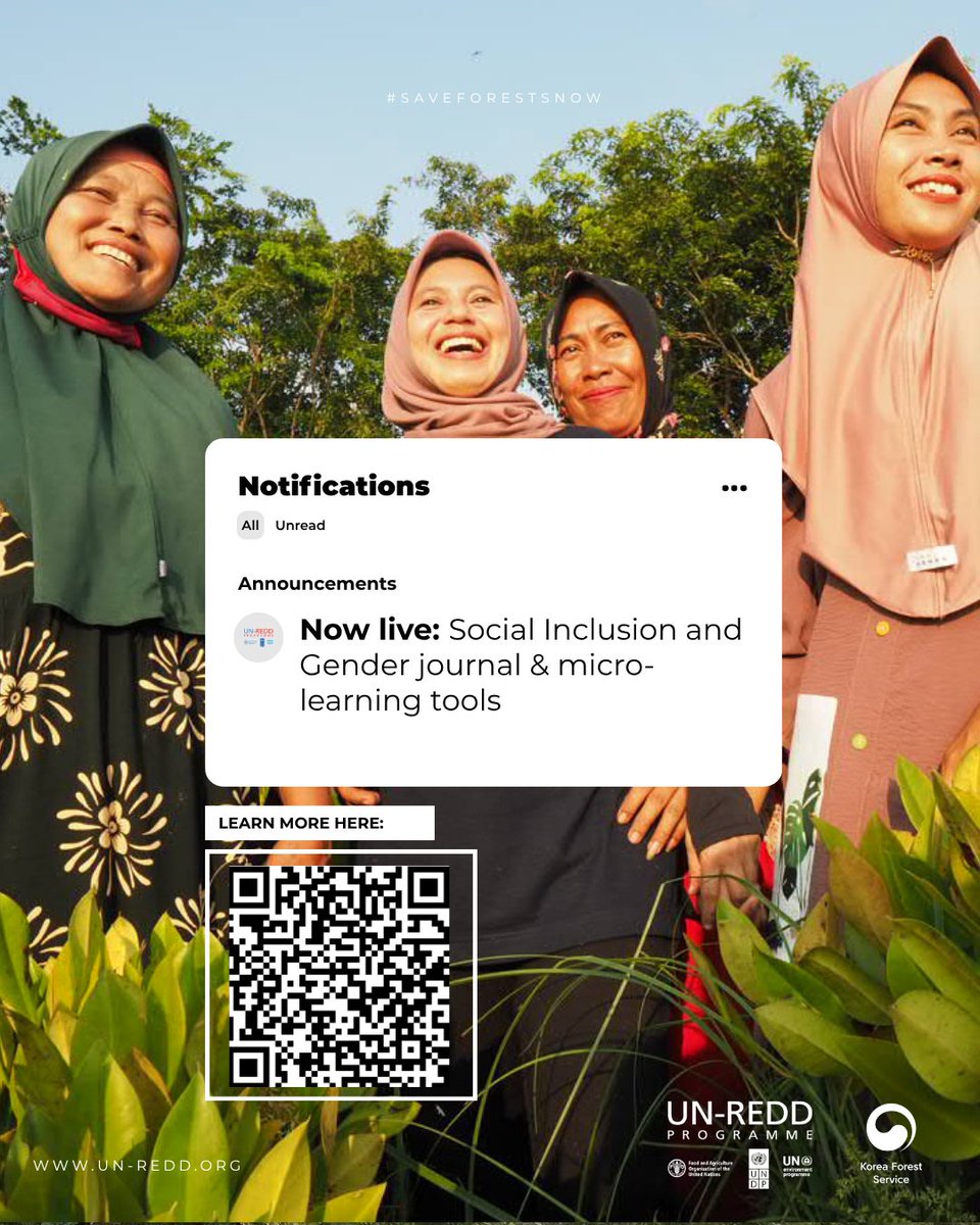 UN-REDD Programme tweet media