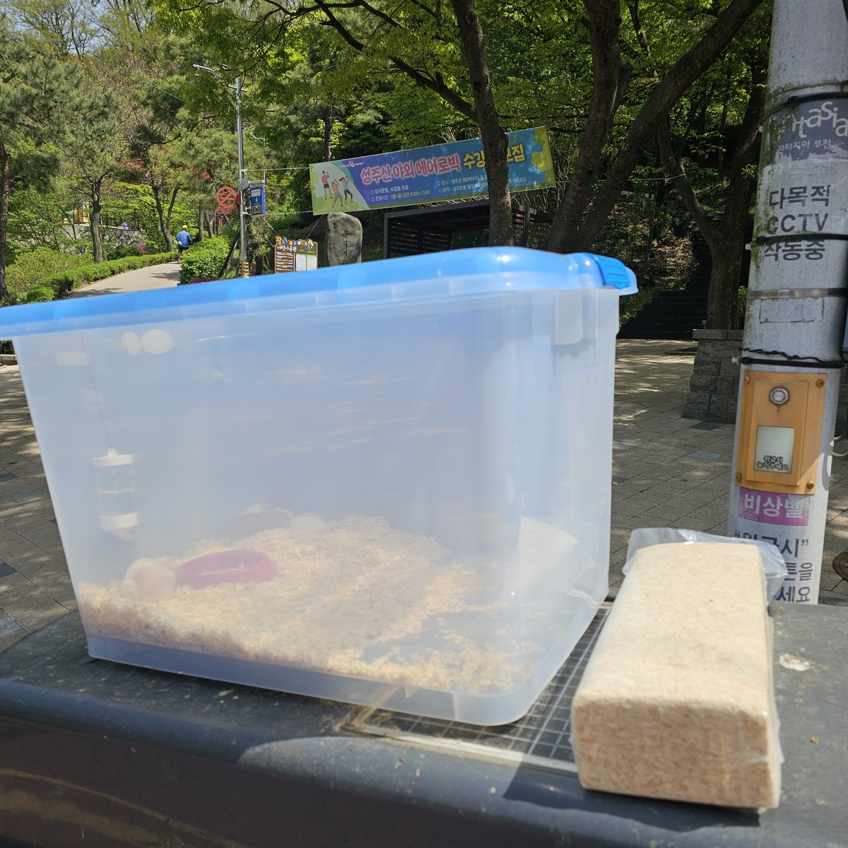 잎하(세모쥐) tweet media