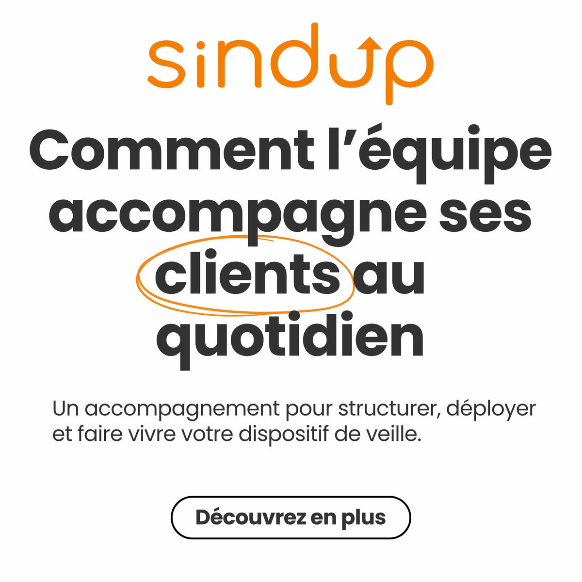 Sindup tweet media