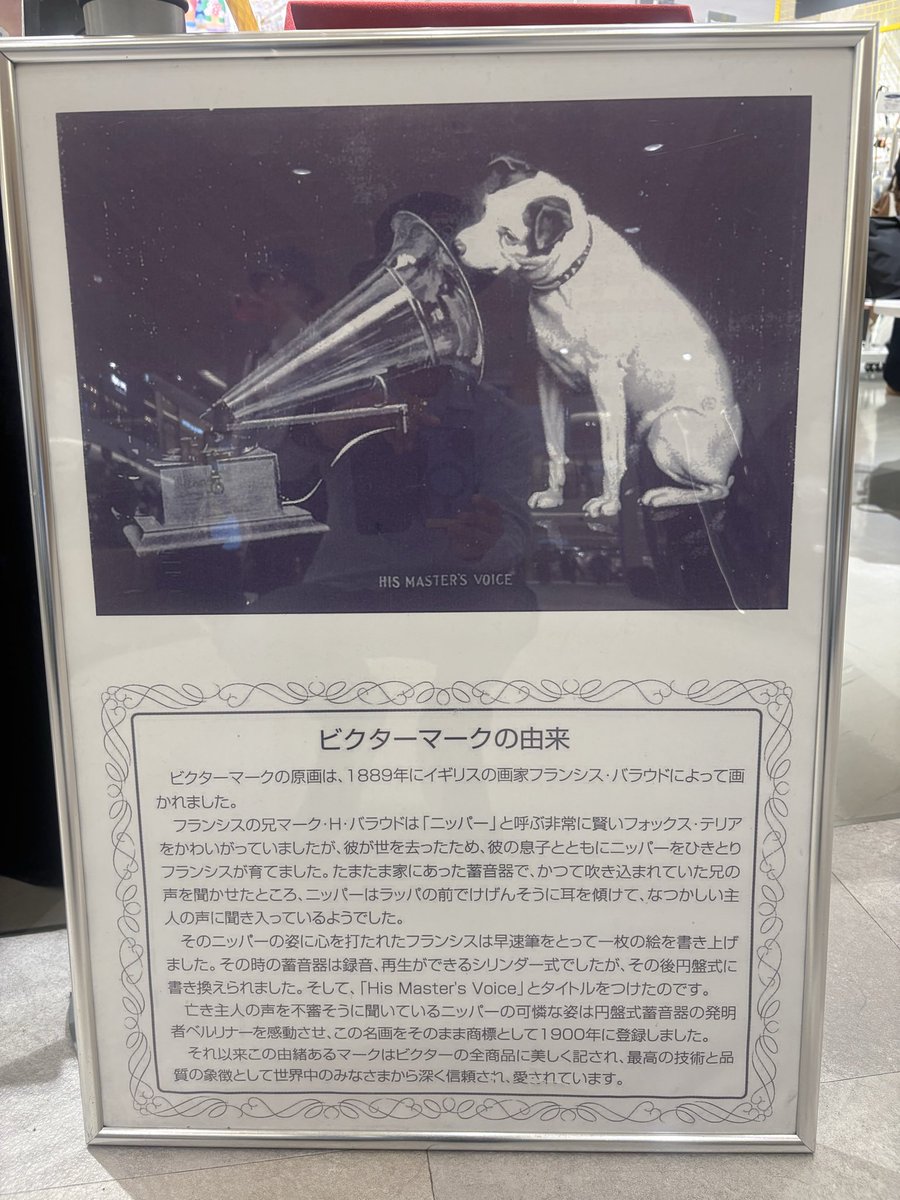 TOMMY@webビジネスでマネタイズ tweet media