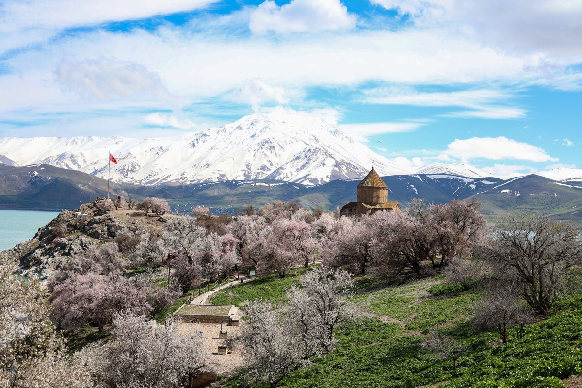 Van Gölü'ndeki Akdamar Adası, badem ağaçlarının çiçek açmasıyla baharın renklerine büründü.
