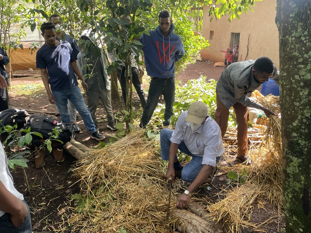 FAOEastAfrica's tweet image. 📌New FAO web article highlights @FAOEastAfrica's support to farmers to strengthen local fertilizer solutions in Eastern Africa.

In 🇪🇹 and🇷🇼, farmers and extension officers took part in a ToT on #composting to build practical skills for wider use. 

Read👉bit.ly/4u2lVrN