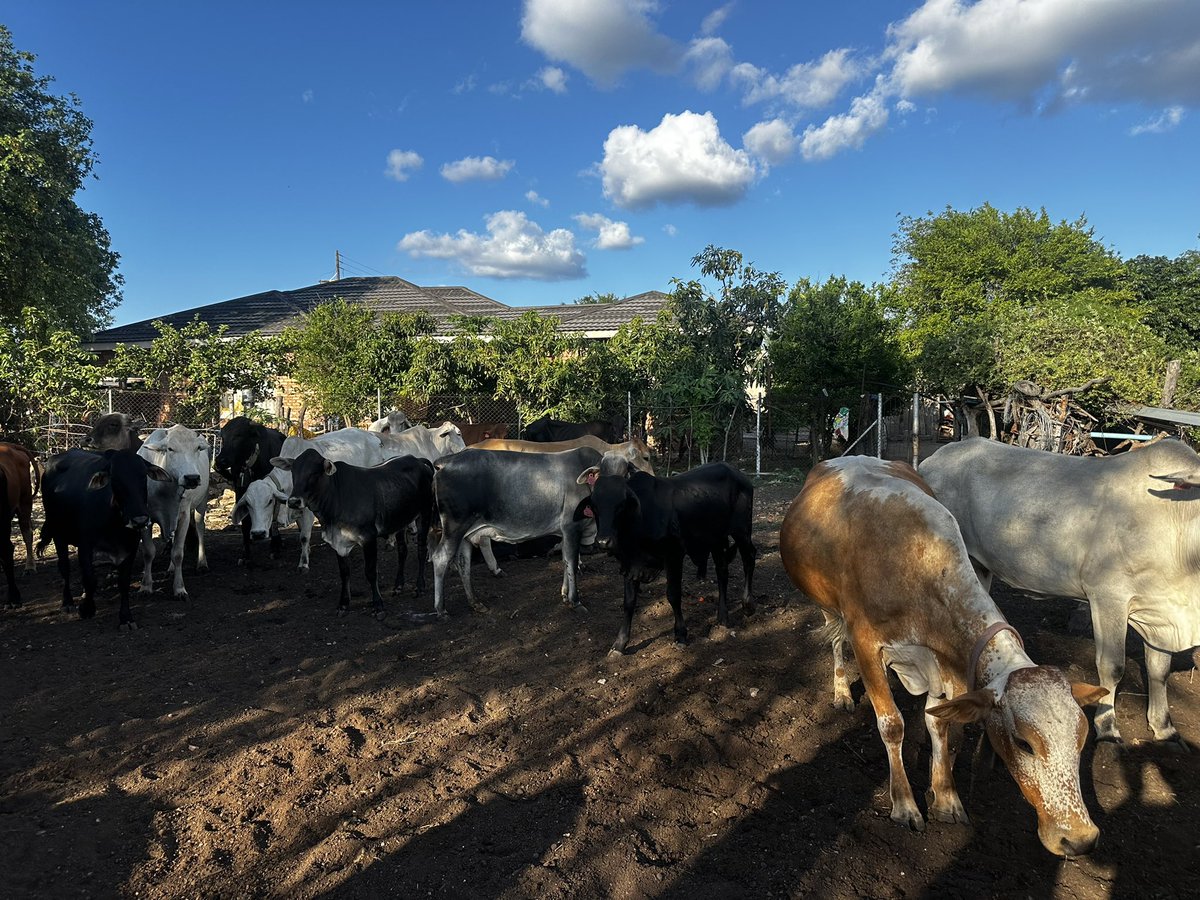 el Fantasma tweet media