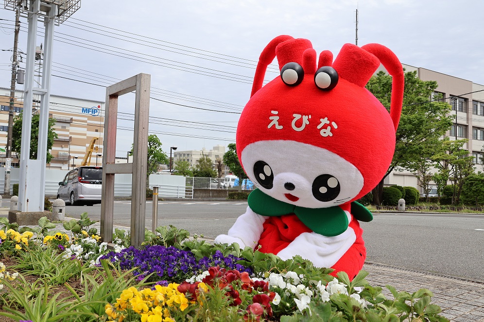 海老名市えび~にゃ🍓【公式】 tweet media