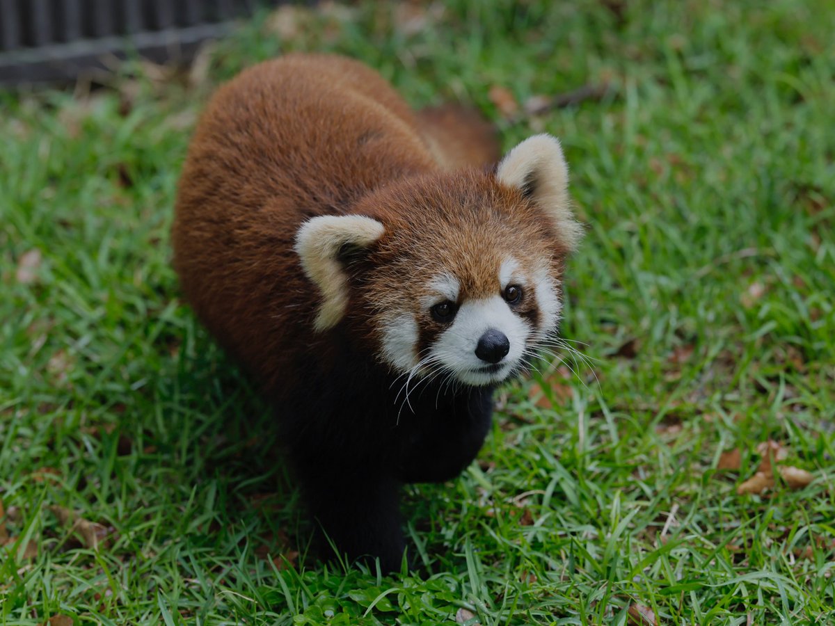 bara@リーファ大好き🥰 tweet media