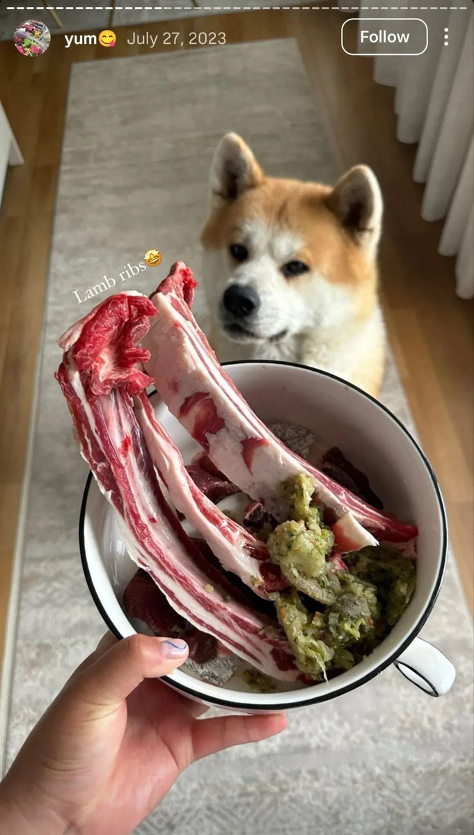 Oscar Uniform tweet media