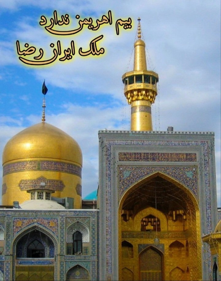 فرزانه tweet media