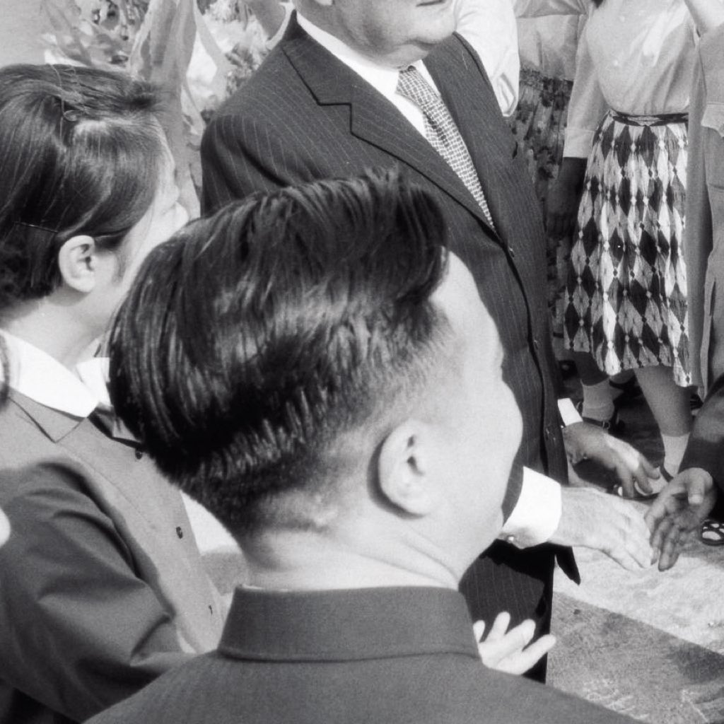 文文是小猪 tweet media