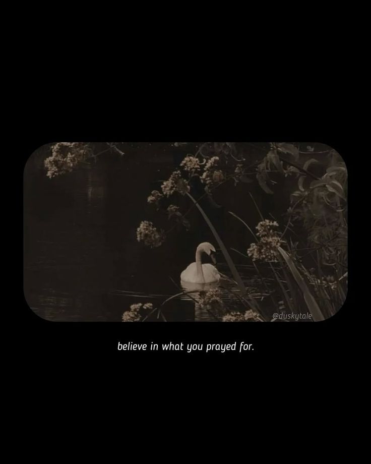 Sukhpyarinsa21's tweet image. Faith✨❤️
#TrustTheProcess #GoodTimesAhead #LifeTruths #KeepGoing