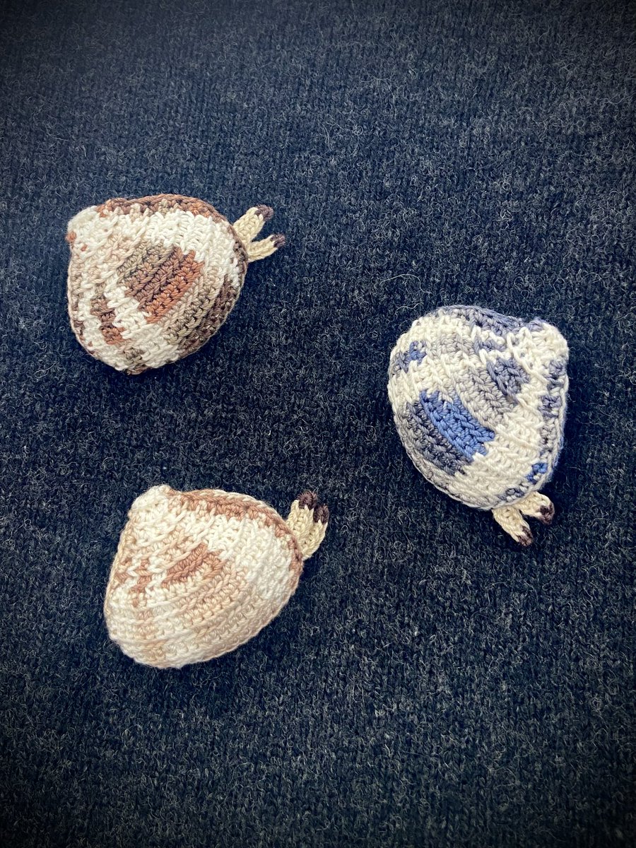 旬なので追加制作しました🙋🏻‍♀️
あさりブローチ。
今回はオーソドックスな白の差し色ばかりです。

ブルー系、ブラウン系、ベージュ系、
BASEにて販売中です。

👉🏻o3oalao3o.official.ec🛍️