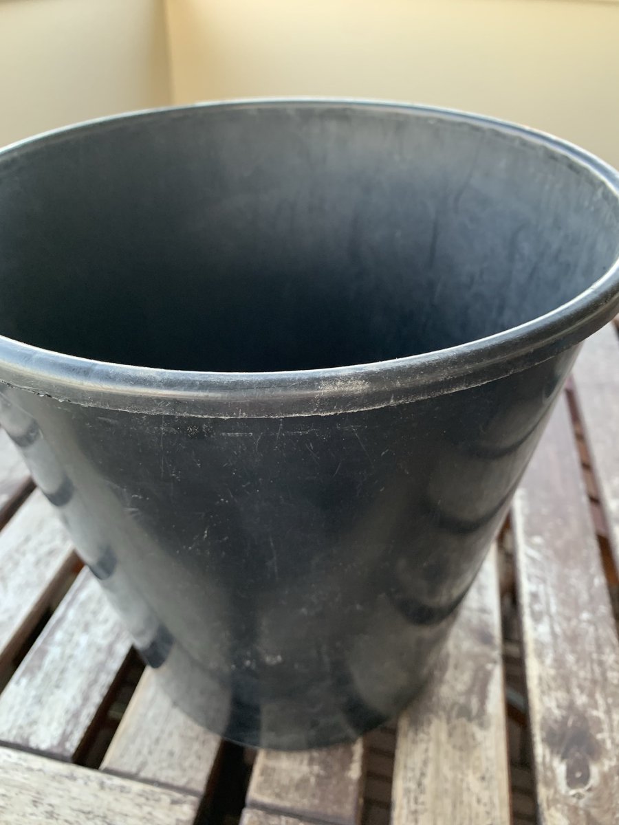 ScallywagRay's tweet photo. I’m a genius!
Turned a simple plastic pot into a phone stand, so when at the balcony table, my phone is at eye-level for scrolling, saving me from the dreaded hunched-back syndrome…
#SimpleHacks https://t.co/Wvp4L8ieje