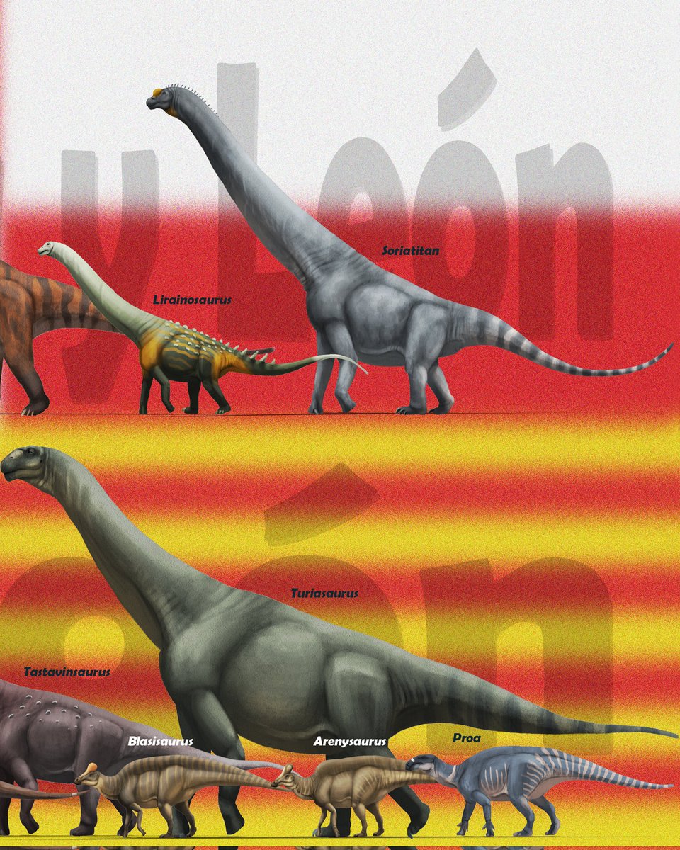 PaleoSafari tweet media
