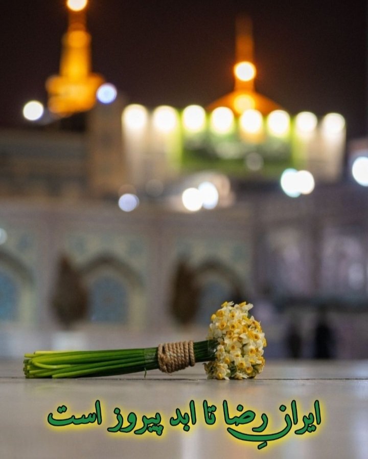 فرزانه tweet media