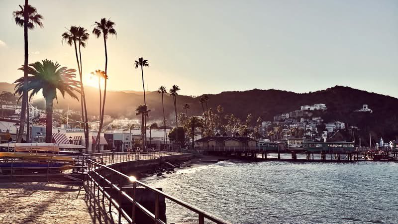JulianLennon tweet picture