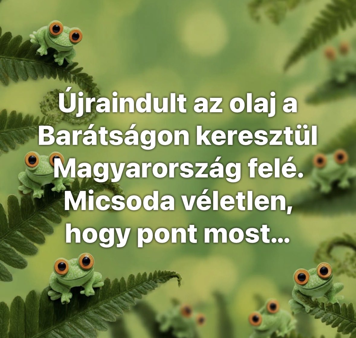 Csík Dániel - A Digitális Krónikás tweet media