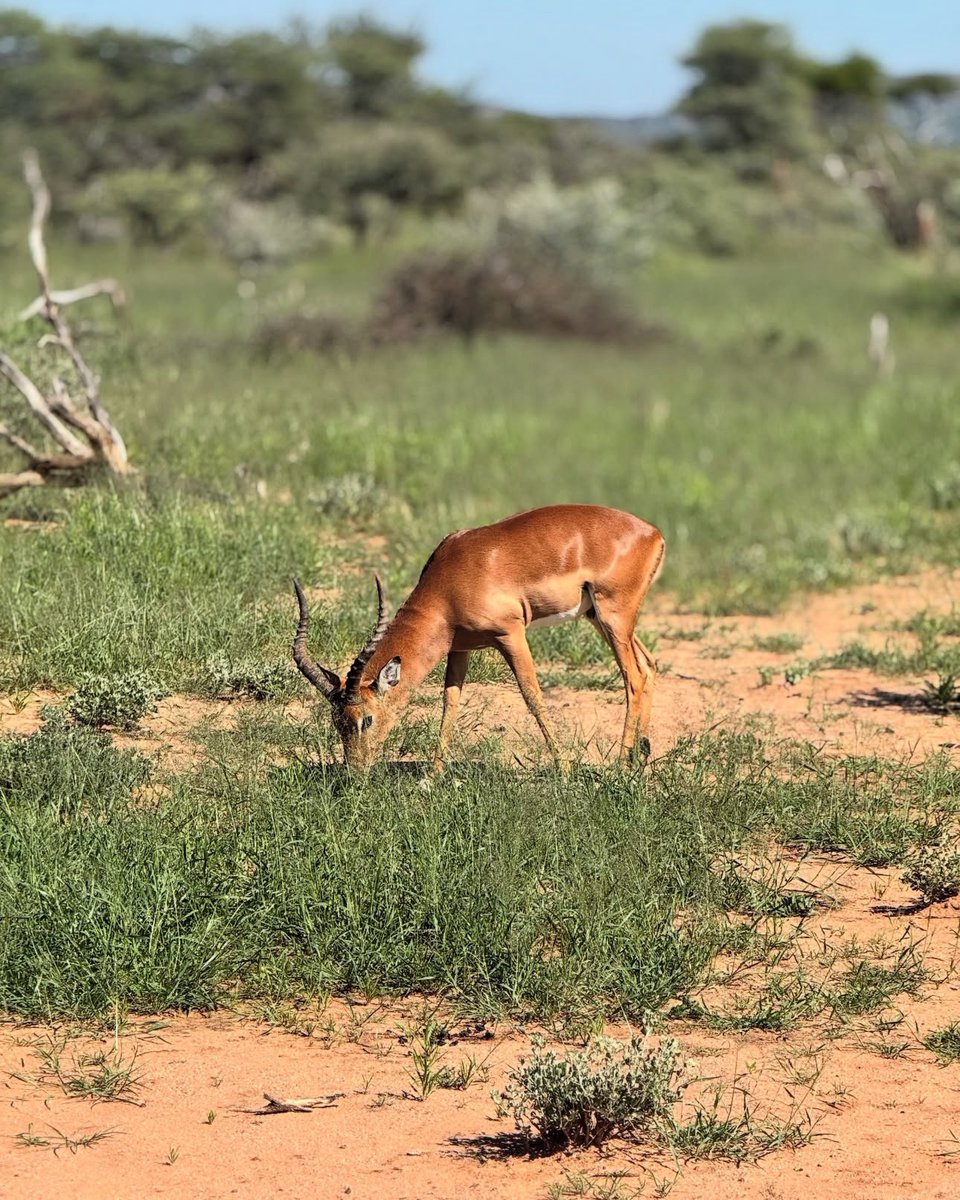 🥀Rhodah Michael🥀 tweet media