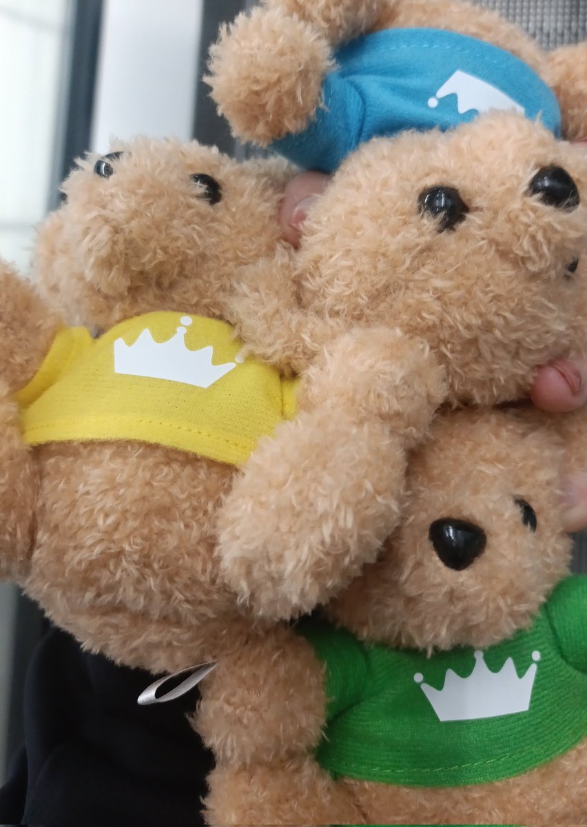 4041Qien(←仮称︰ドンペン丸) tweet media