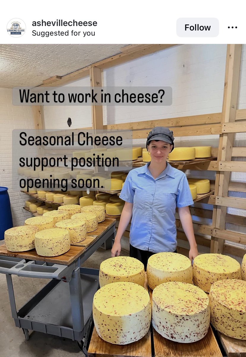 Never had an ad so tempting