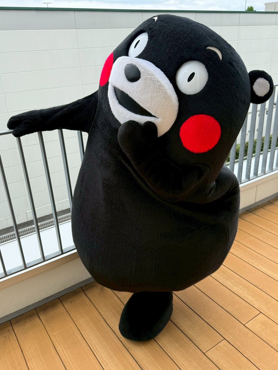 おはくま〜！出かける人も仕事の人も、気を付けていってらっしゃいだモン！