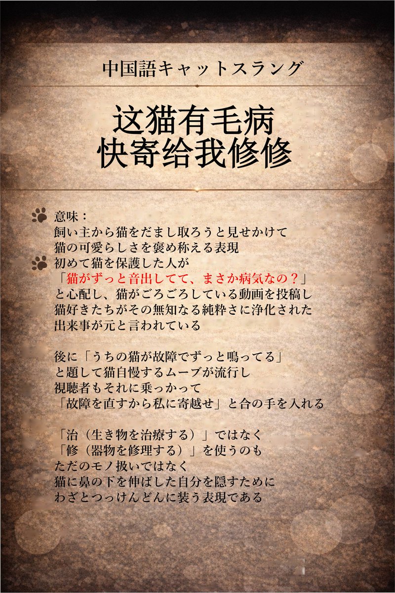 白伊（はく い）🐈‍⬛声優・翻訳者っす！ tweet media