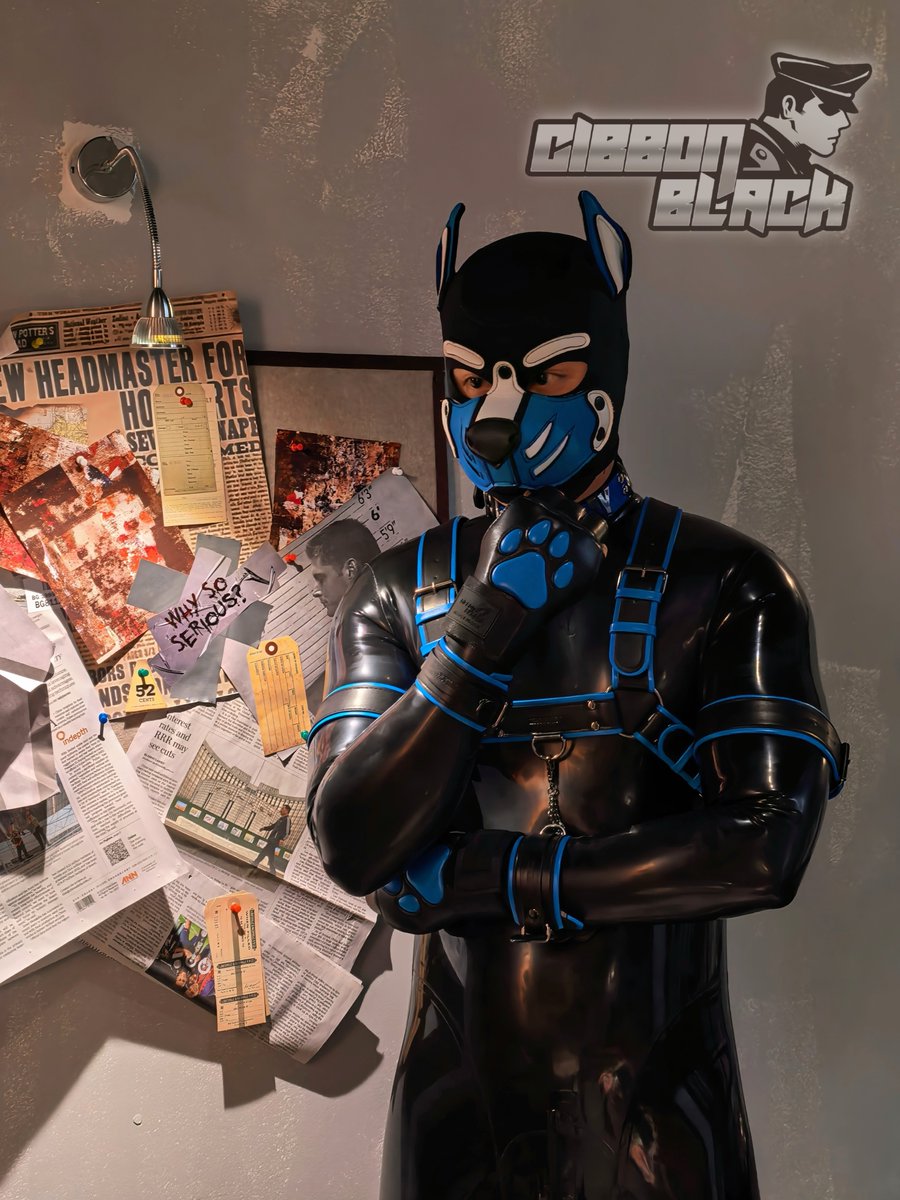 GibbonBlack_CN tweet media