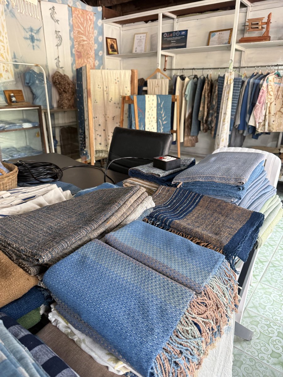 ❤️น้องแมวสายลมแสงแดด ☀️ ( B.Sc. ) tweet media