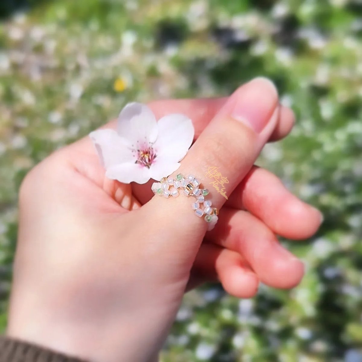 試作品のお花ビーズ指輪（桜）🌸
写真より実物の方が綺麗なのに〜> <՞
薄色だからかな？
本当はもっとキラキラしてるのにな〜