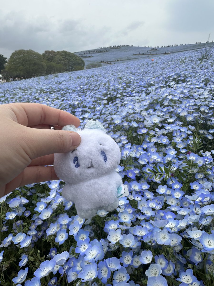 센츠🌼 tweet media
