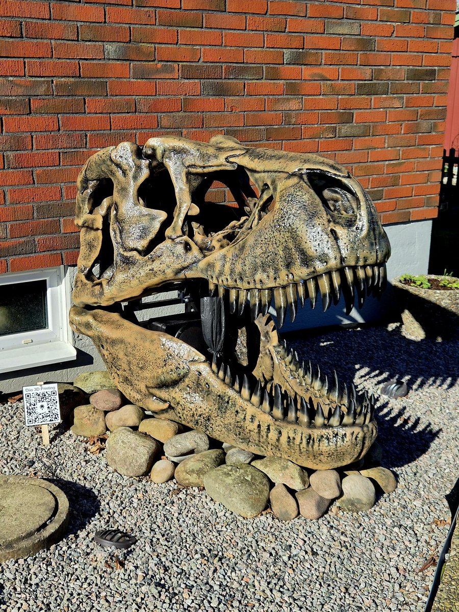 Diio_3dprints's tweet image. I'm amazed how good the T-Rex has been holding up over this winter! It still looks the same as when I made it!
#dinosaur