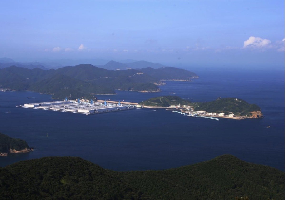 かめみKamemi🥃🍱 tweet media