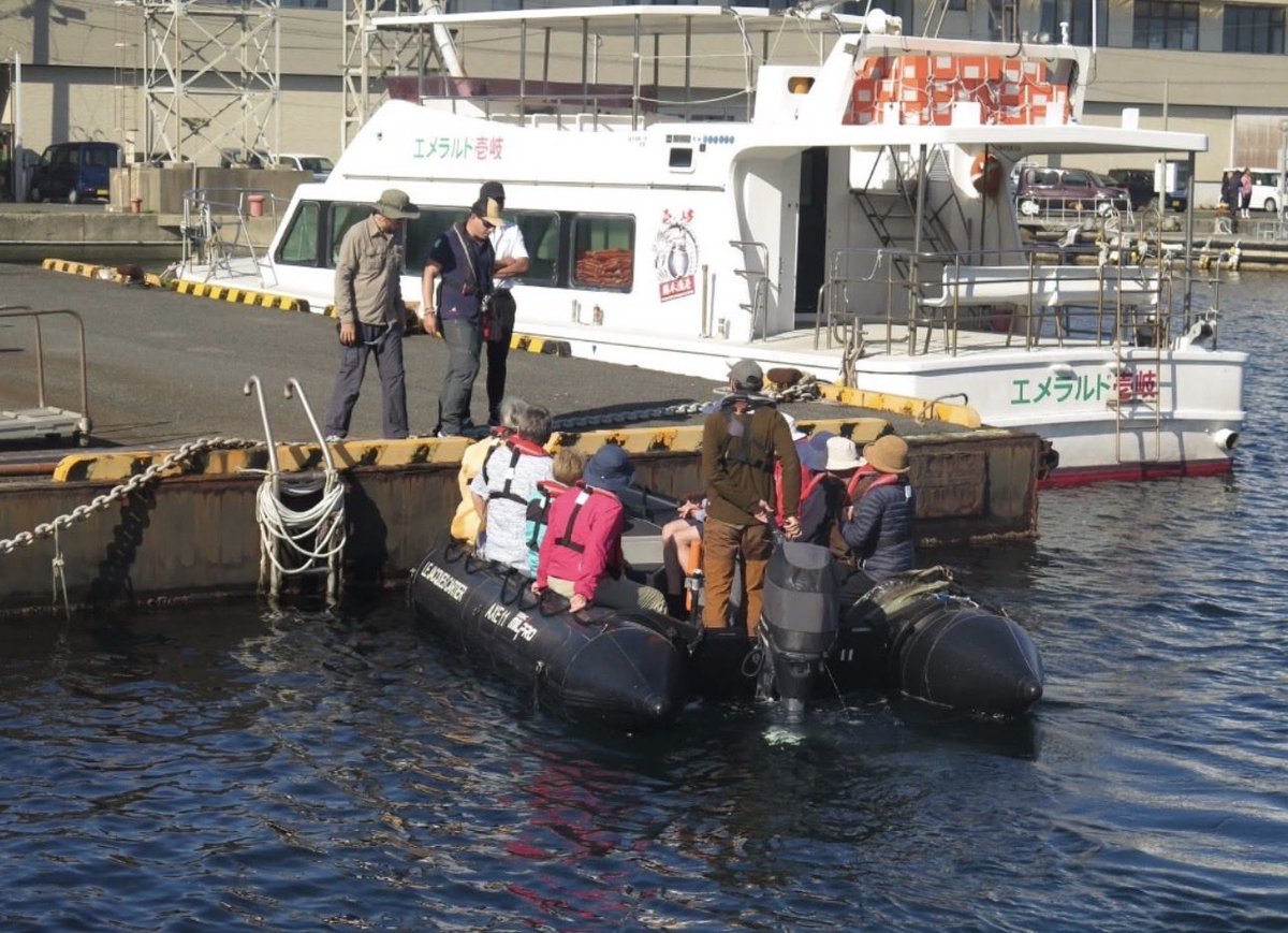 かめみKamemi🥃🍱 tweet media