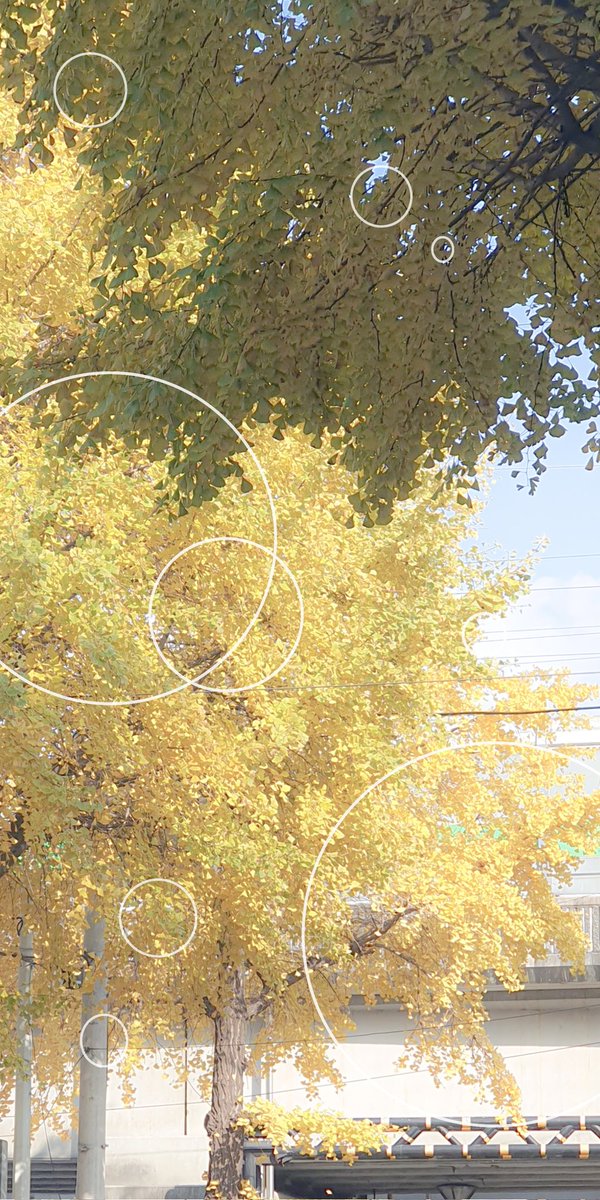 루체🍀 tweet media