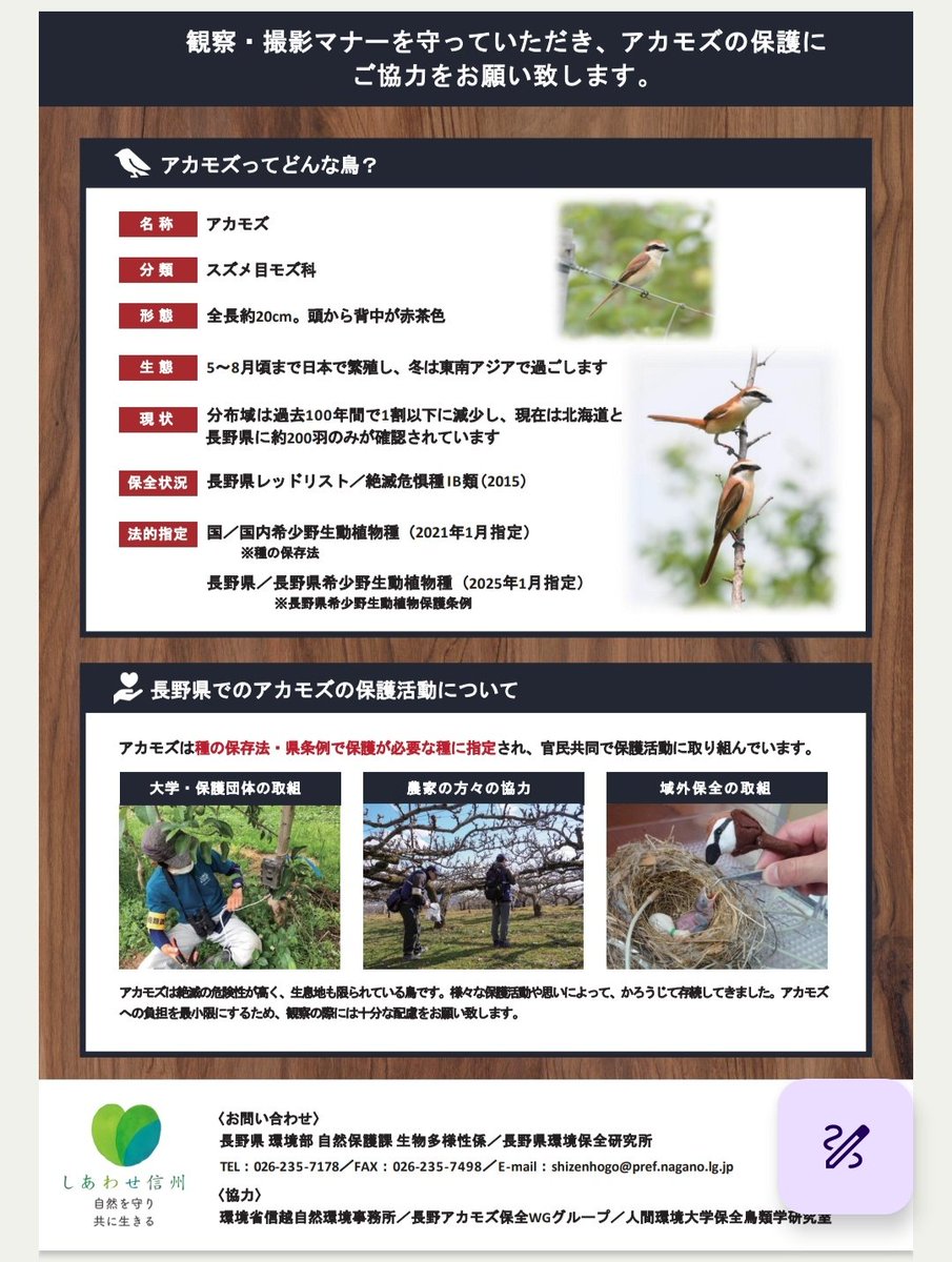 Yuji OKAHISA tweet media