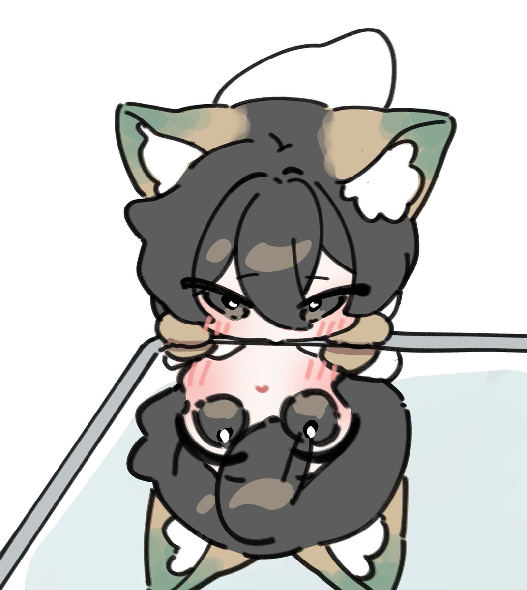 림메이/LimMay tweet media