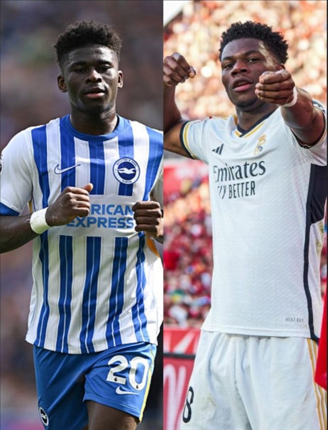 Rising Gems tweet media