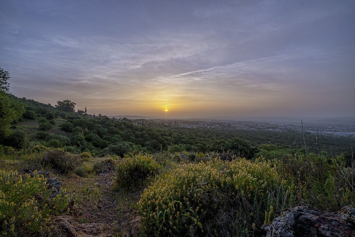 Pedro Mengual tweet media