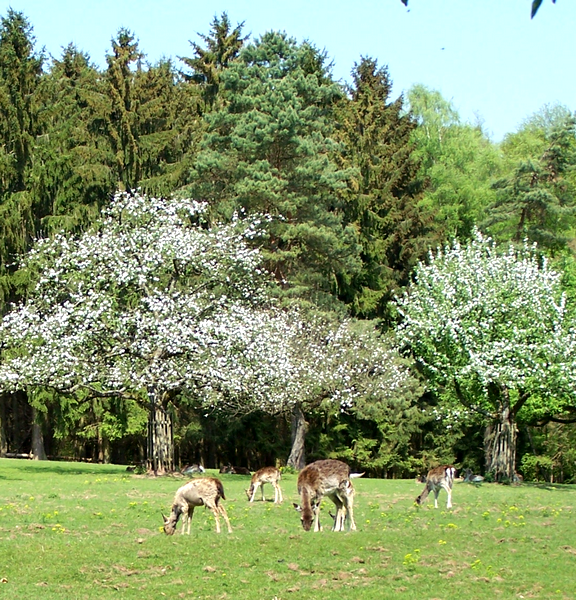 bulle_psy's tweet image. "Sérénité"

Joyeux #jeudiphoto les Twittos 🍀

#naturelovers