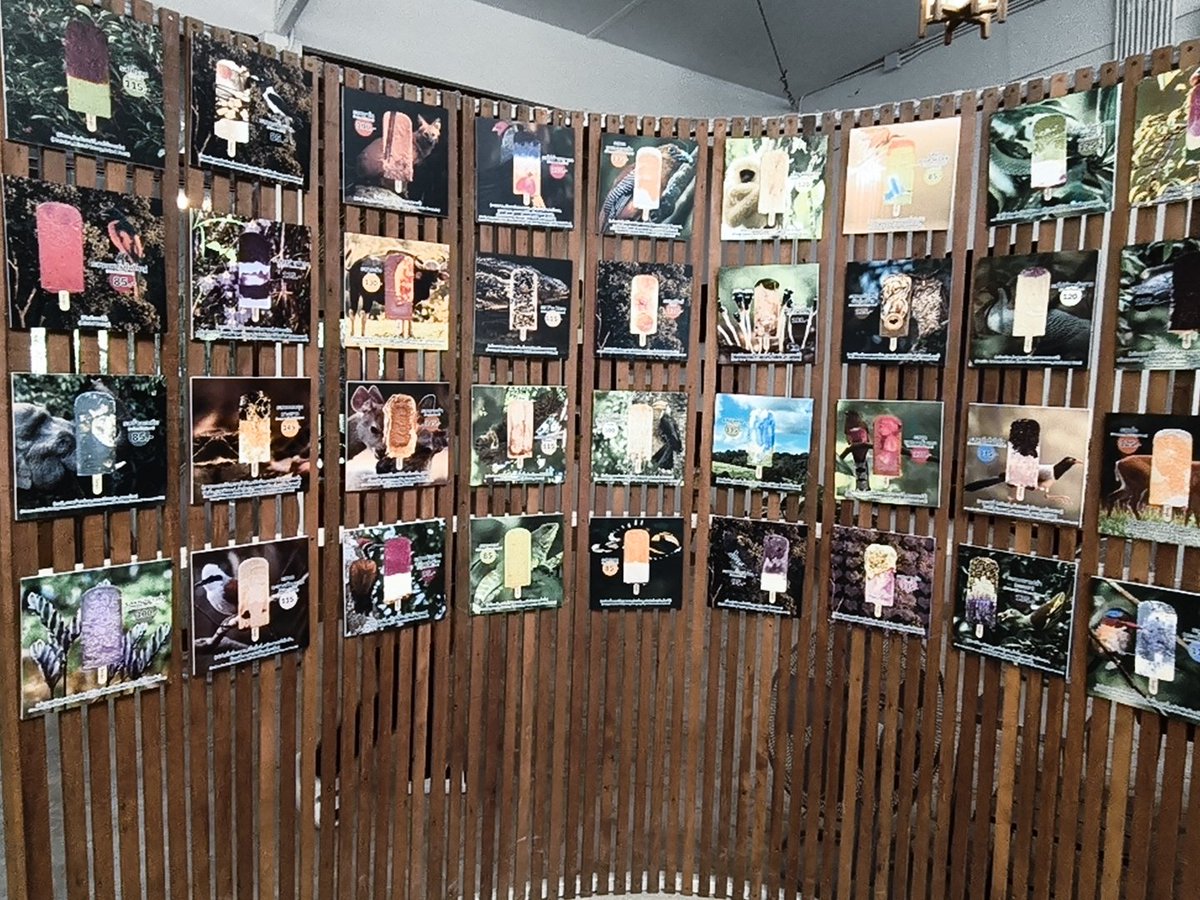 ก็เป็นแค่คนที่ไม่เคยมีความสำคัญ2424 tweet media