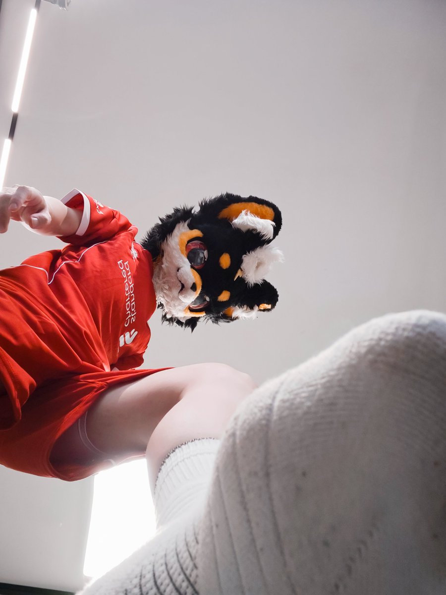 ⚡雷牙是只闪电柴⚡ tweet media