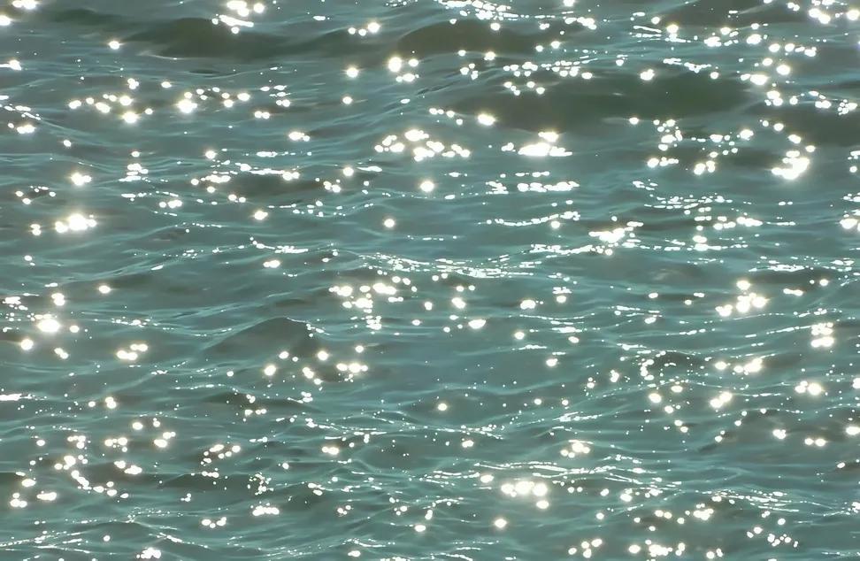 Wholesome Side of 𝕏 tweet media