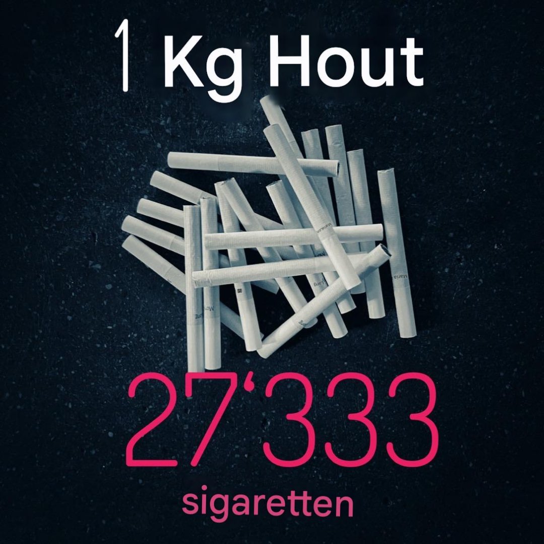 Houtstook Terreur tweet media