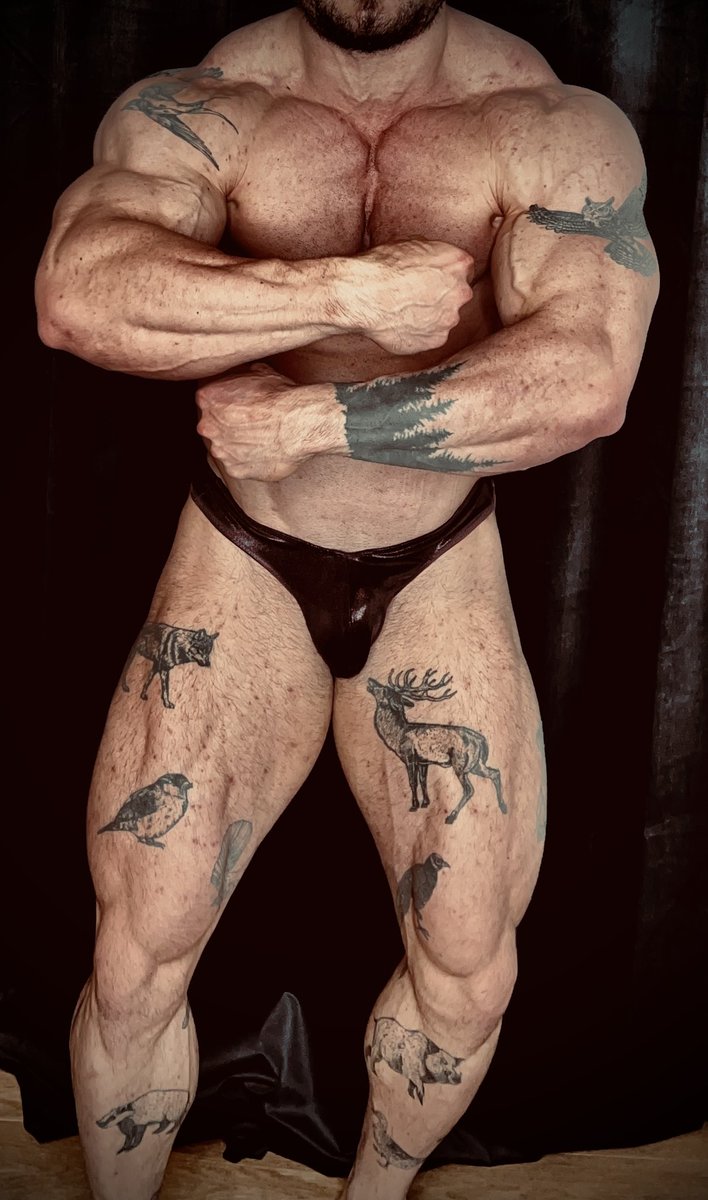 gaymuscledoc tweet media