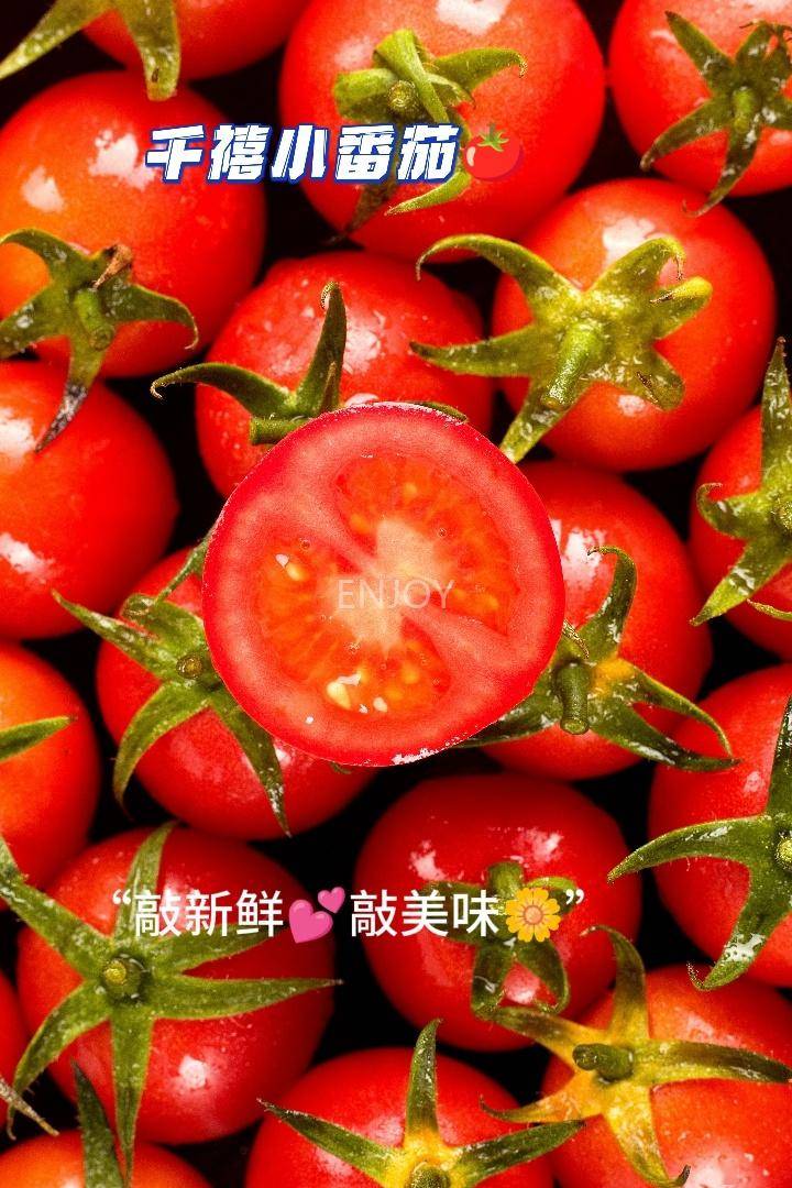 Nico Vernando S tweet media