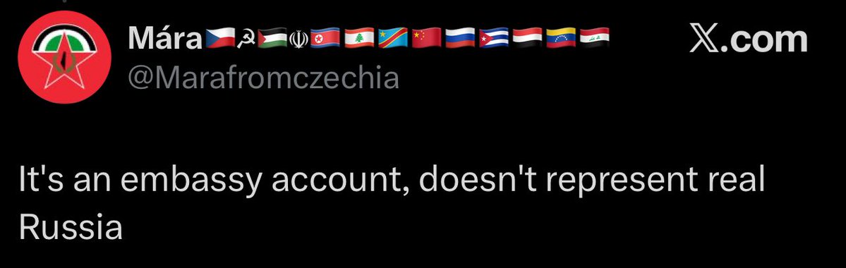 Mira of Kyiv 🇺🇦 tweet media