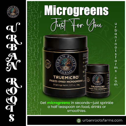 UrbanRootsFarms's tweet image. Finally, a superfood that fits your life. 🌿
Microgreens minus the mess. TRUEMICRO is your nutritional "easy button."

✅ 30 servings/jar
✅ 5s to prep
✅ Travel-ready

Shop: urbanrootsfarms.com/product/truemi…

#UrbanRoots #Biohacking #Superfood #DailyGreens