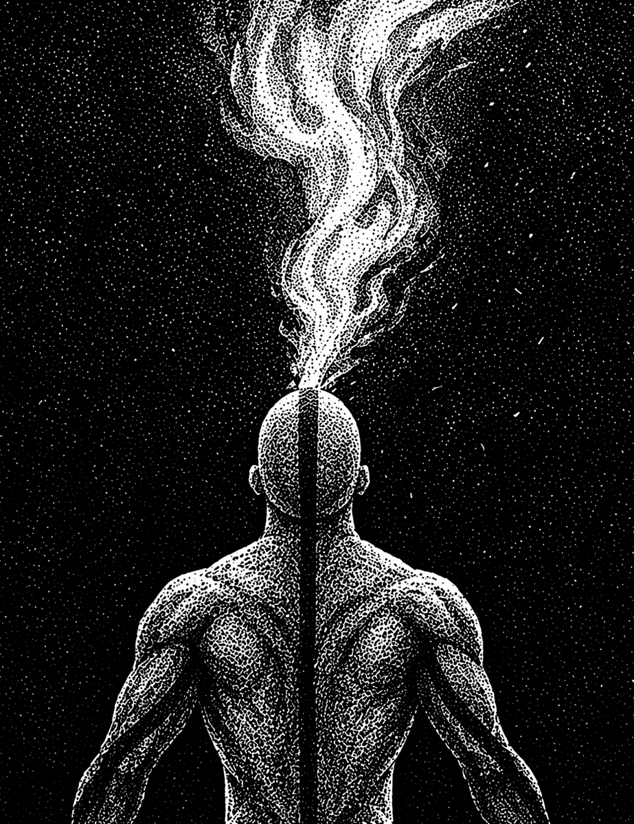 nocturnal tweet media