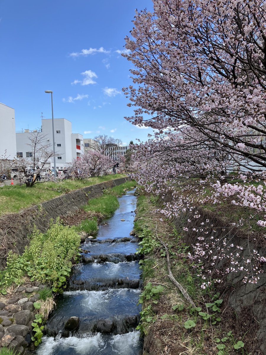 J:COM｜札幌エリア tweet media