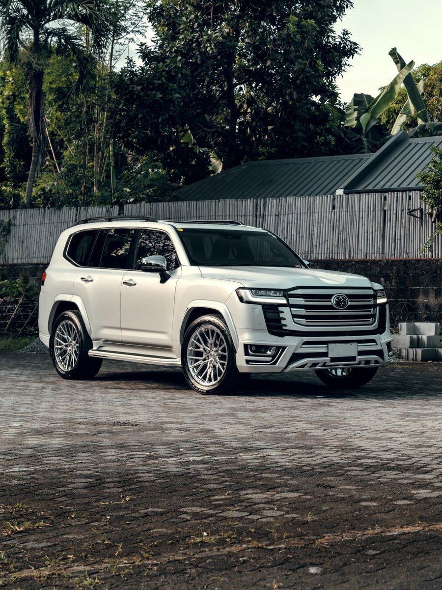 VOSSEN_JAPAN tweet media