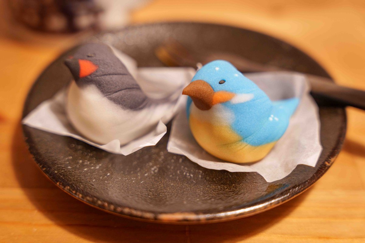 NoRi/ImpCats@GVB tweet media