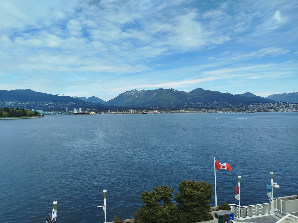 Suzanne Knapen tweet media